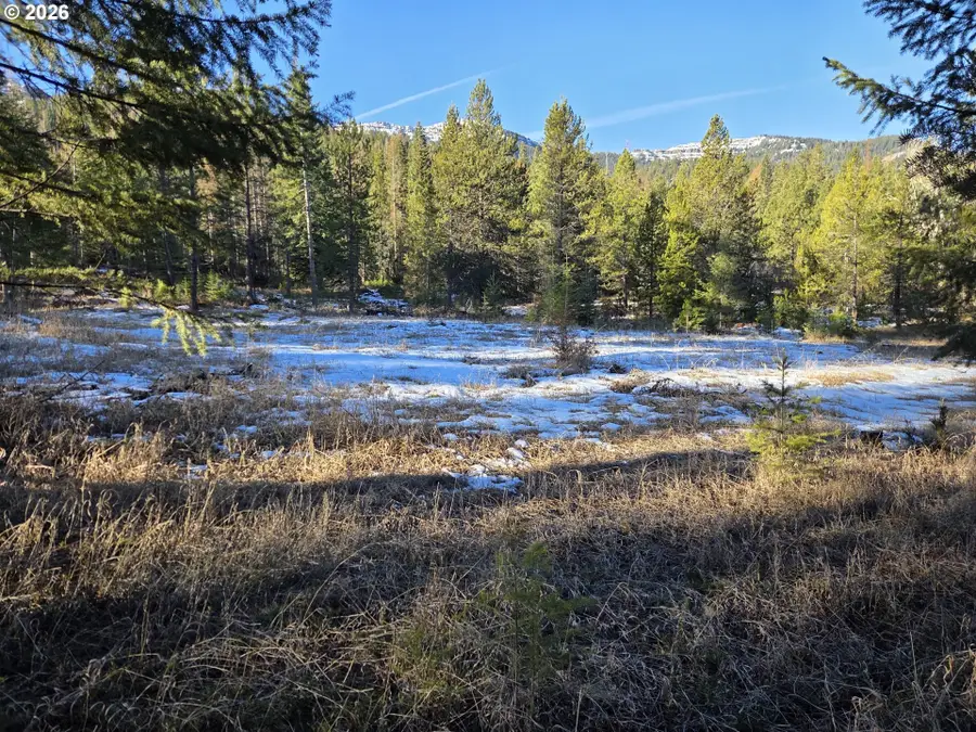 61005 Lime Quarry Rd, Enterprise, OR 97828 - #3