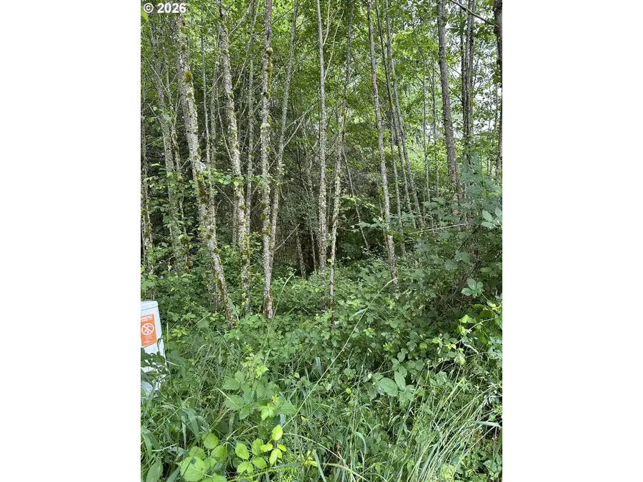 488 Ravenwood Rd, Kelso, WA 98626 - #3