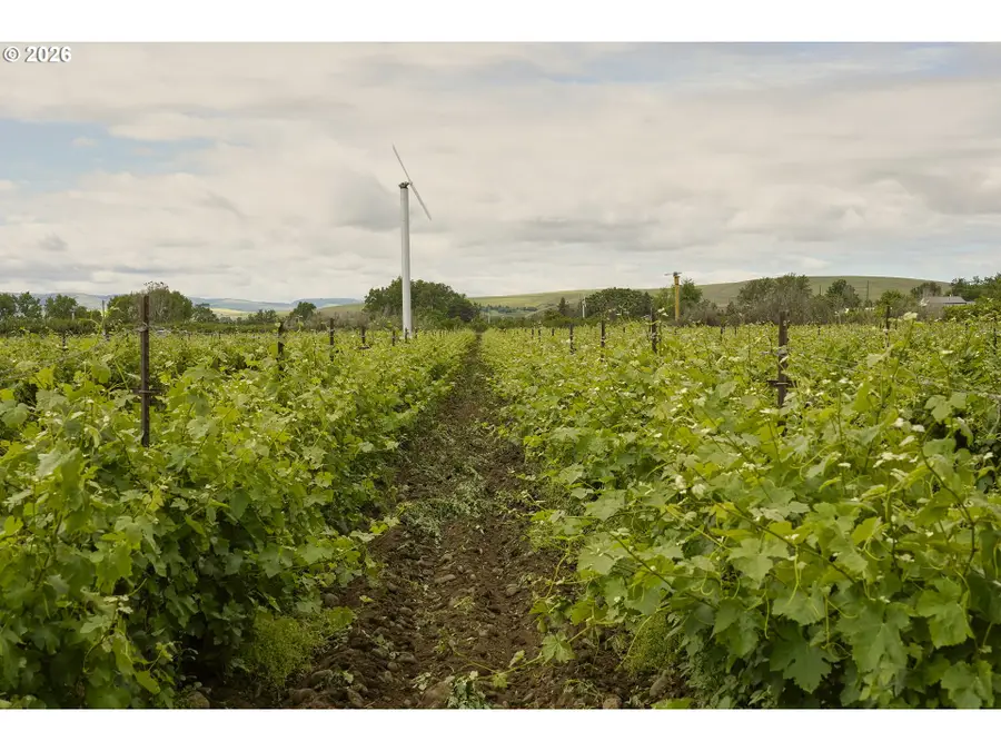 84427 Highway 339, Milton Freewater, OR 97862 - #3