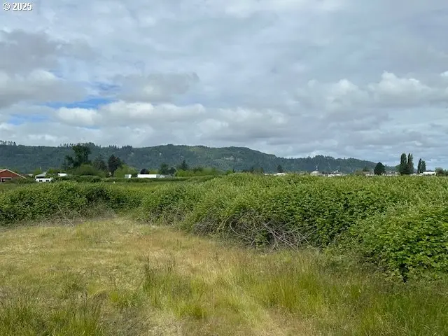 1 Springer St #1-4, Cathlamet, WA 98612 - Image #2