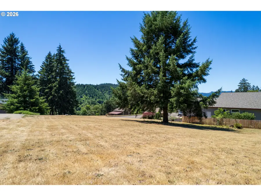335 Edgeview Dr, Elkton, OR 97436 - #3