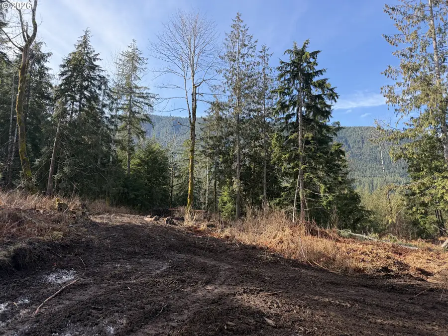 0 E Belle Lake Rd #2, Rhododendron, OR 97049 - #3