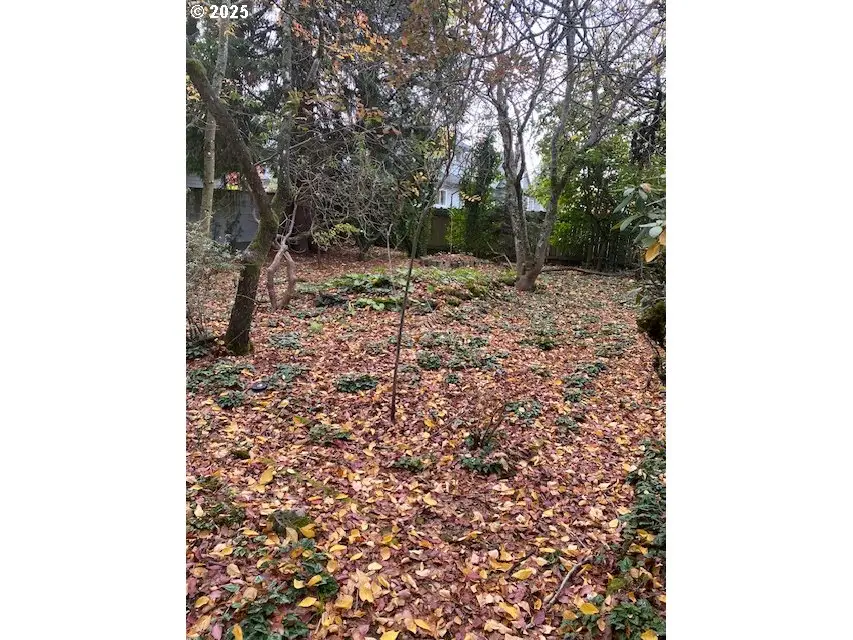 3515 N Lombard St, Portland, OR 97217 - Image #3