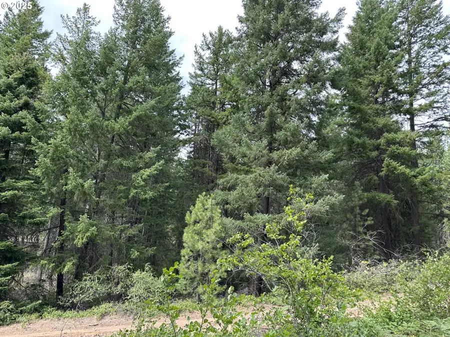 Forest Glen, Goldendale, WA 98620 - #3