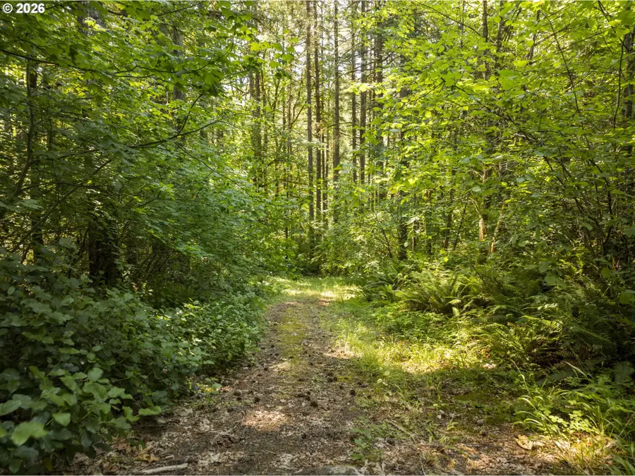 0 Green Mountain Rd #2, Banks, OR 97106 - #2