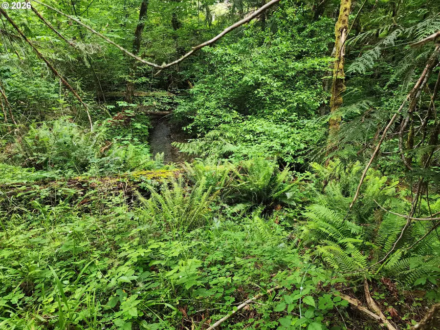 0 Louis Creek Rd, Myrtle Creek Riddle, OR 97457 - #2