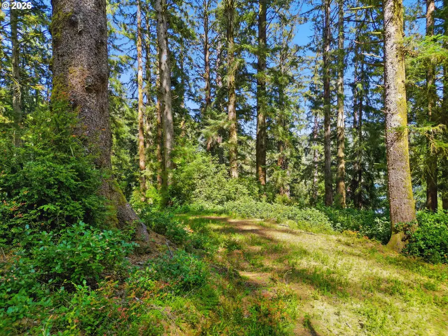 83553 Jensen Ln, Florence, OR 97439 - #3