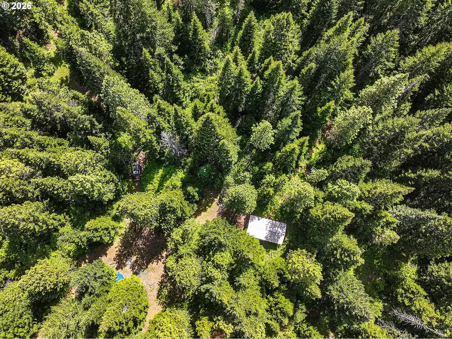 20 Mountain Pine #6, Appleton, WA 98602 - #3