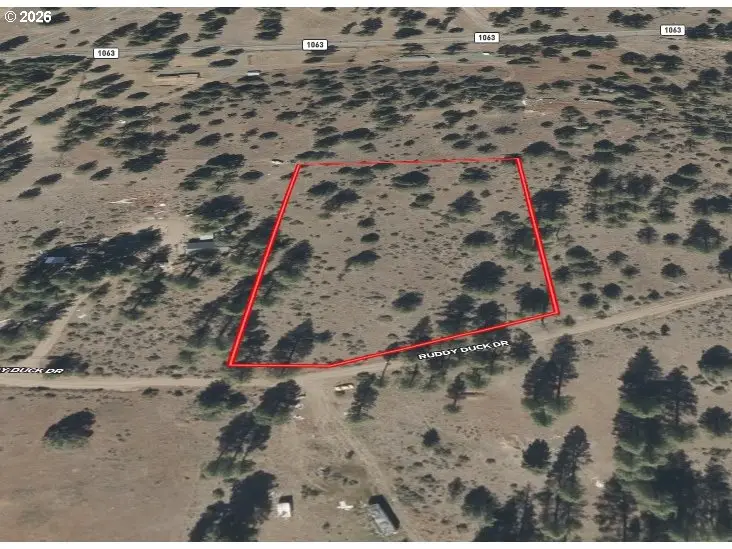 5560 Ruddy Duck Dr, Bonanza, OR 97623 - #2