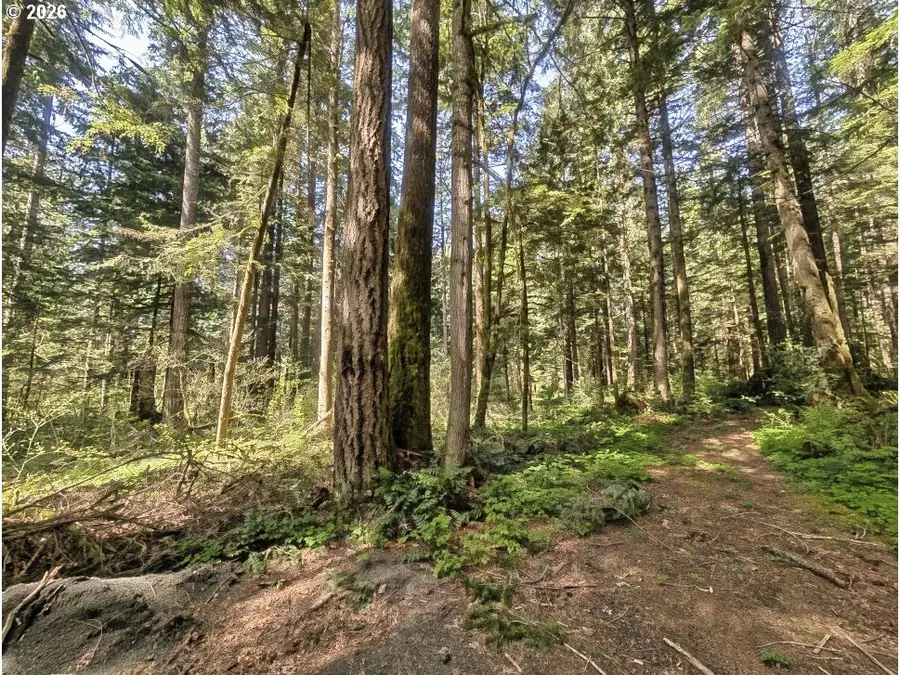 62955 E Mountain Country Ln, Brightwood, OR 97011 - Image #2