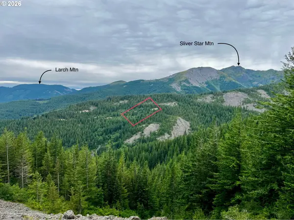 Snag Mountain Rd #110, Washougal, WA 98671