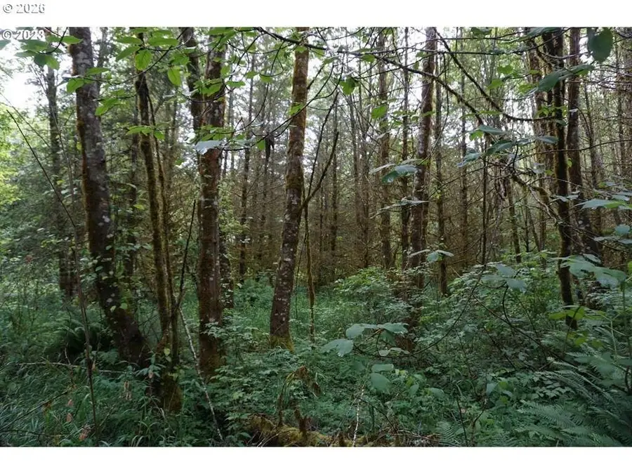 00 NE Buncombe Hollow Rd #1, Woodland, WA 98674 - #2