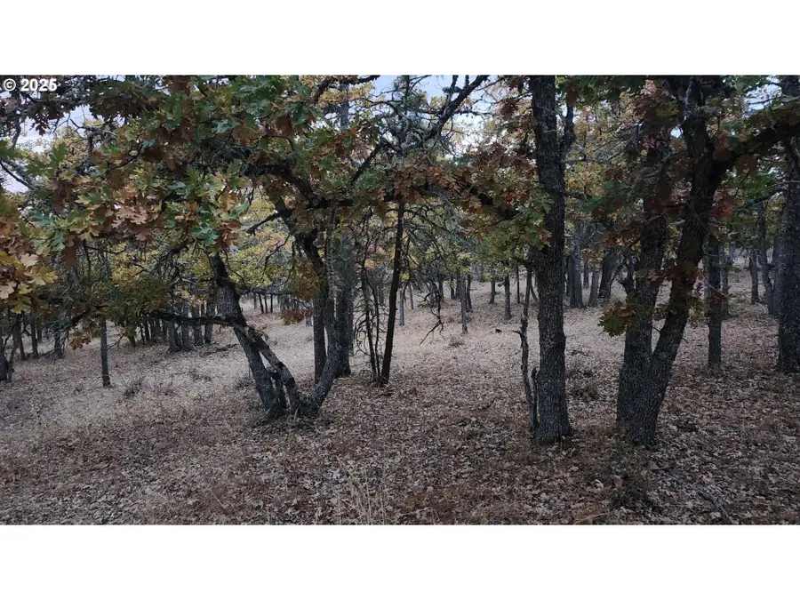 W Ponderosa #Lt 157, Goldendale, WA 98620 - #3