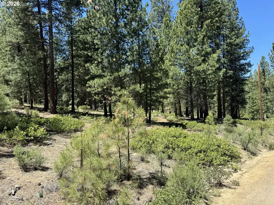 Incline Dr #22, Chiloquin, OR 97624 - #2