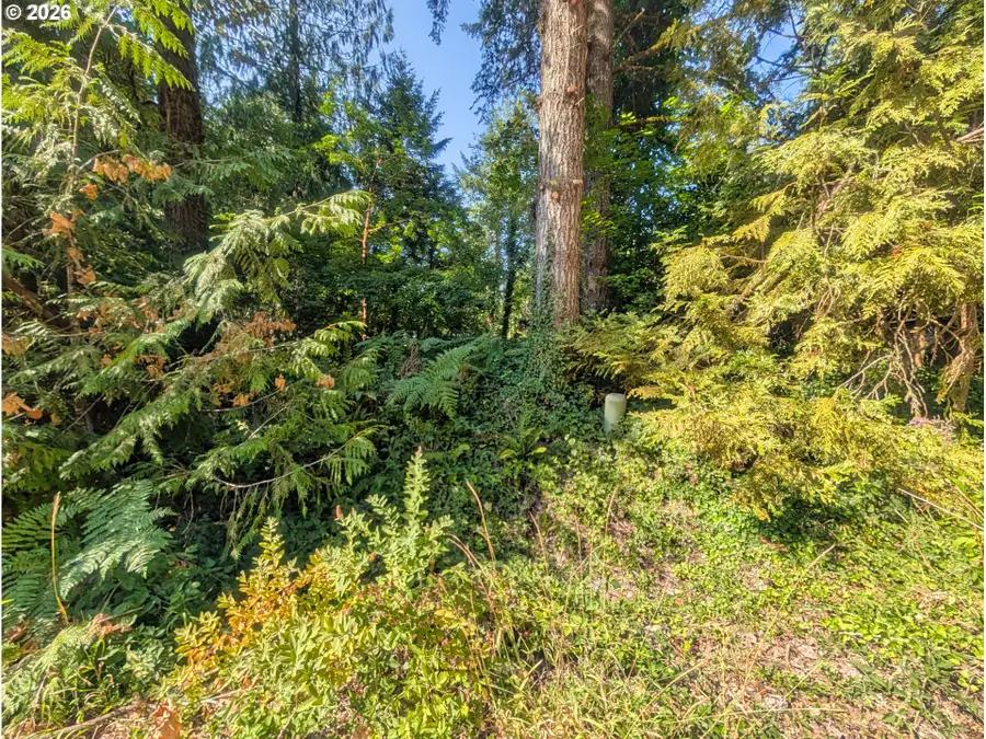 65535 E Sandy River Ln, Rhododendron, OR 97049 - #3