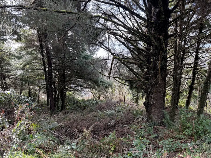 0 Pacific View Estates #70, Rockaway Beach, OR 97136 - #2