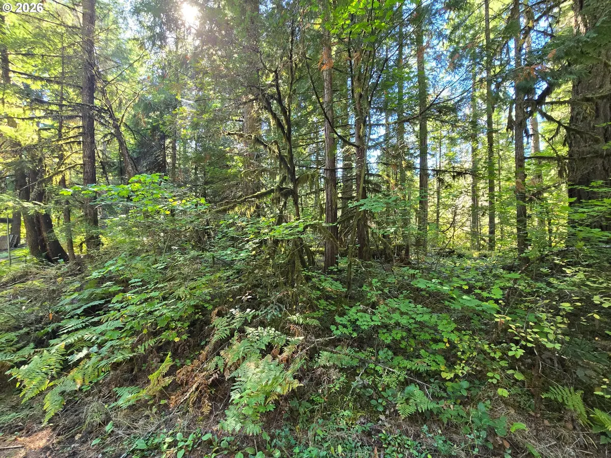1655144006700, McKenzie River, OR 97413 - #1