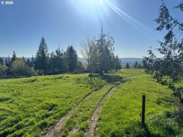 Grimm Rd, Kelso, WA 98626 - #3