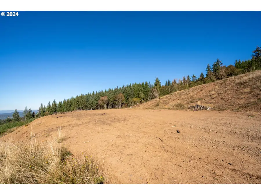 No Site Address, Battle Ground, WA 98604 - #3