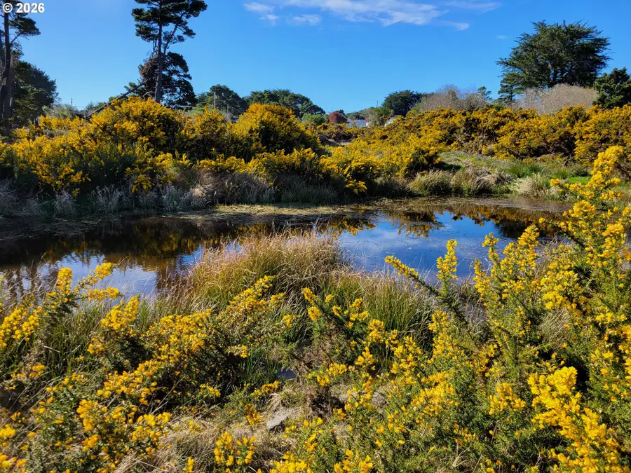 18th St Sw, Bandon, OR 97411 - #3