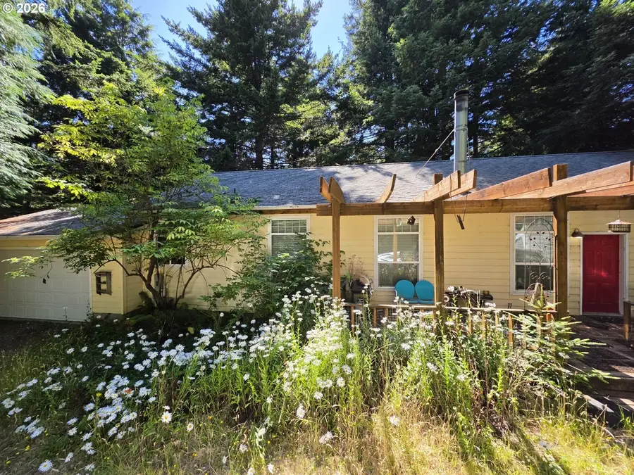 42101 Old Mill Rd, Port Orford, OR 97465 - #3