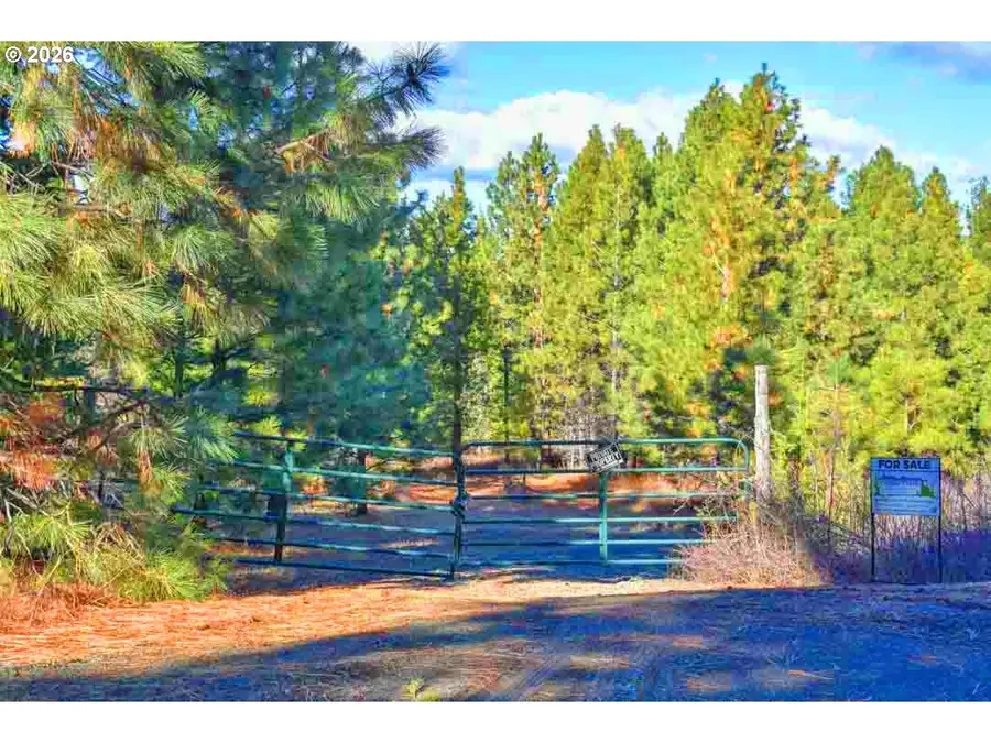Low Gap Lane, Long Creek, OR 97856 - #2