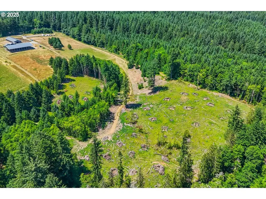 16218 NW Mason Rd, North Plains, OR 97133 - #3