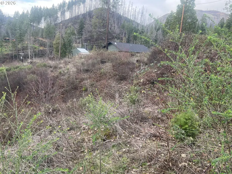 Evergreen Ln, North Umpqua, OR 97447 - Image #2