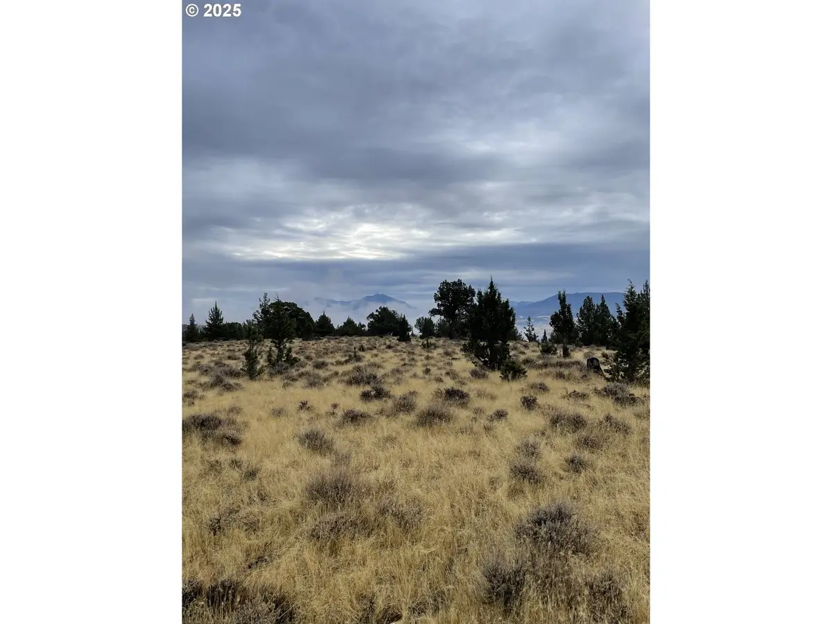0 Wiley Creek Rd, Dayville, OR 97825 - #1
