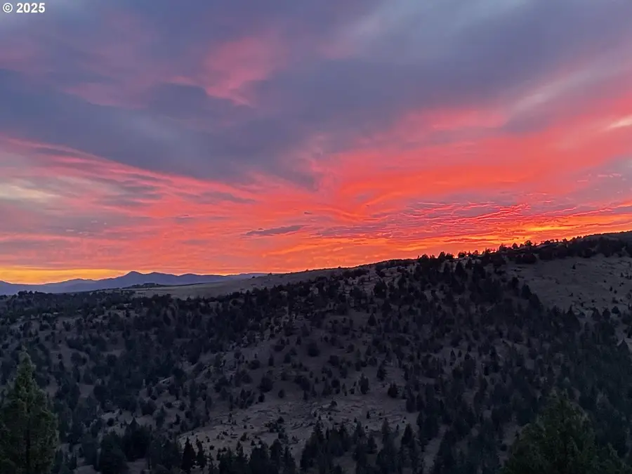 0 Wiley Creek Rd, Dayville, OR 97825 - #2