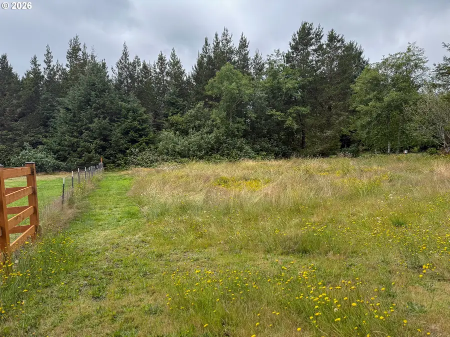 10607 Sandridge Rd, Long Beach North Beach Peninsula, WA 98631 - #2