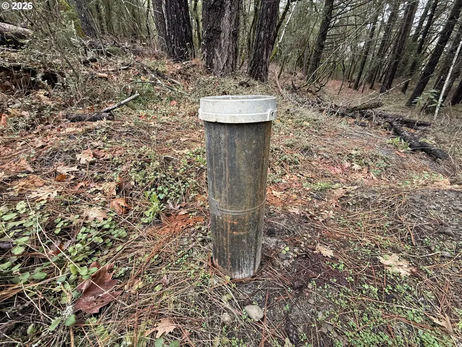 907 Riverbanks Rd, Wilderville, OR 97527 - #3