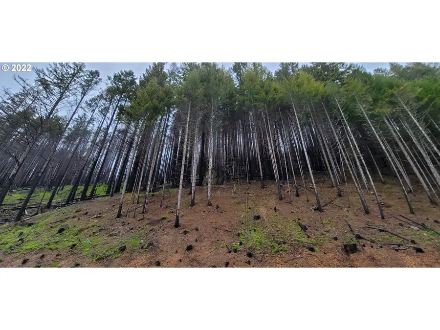 0 Hwy 22, Detroit, OR 97342 - Image #2