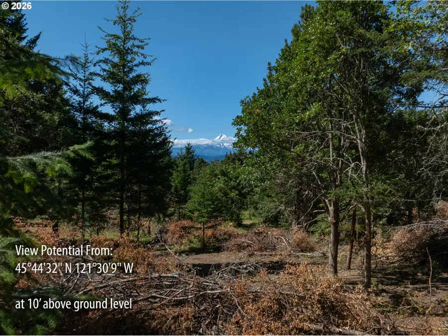 Riggleman Ln, White Salmon, WA 98672 - #2