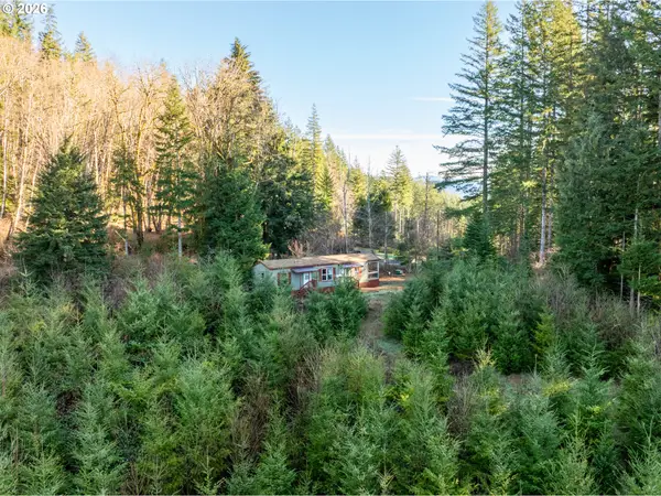 43902 NE Columbia Tie Rd, Amboy, WA 98601