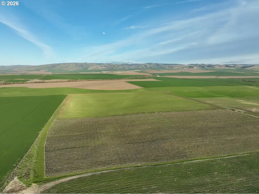 Birch Creek Rd, Miltonfreewater, OR 97862 - #2