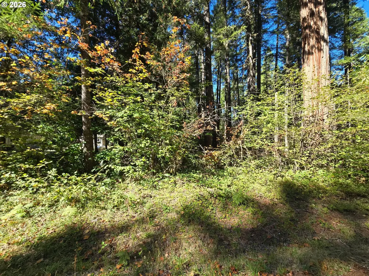 1655231000700, McKenzie River, OR 97413 - #1
