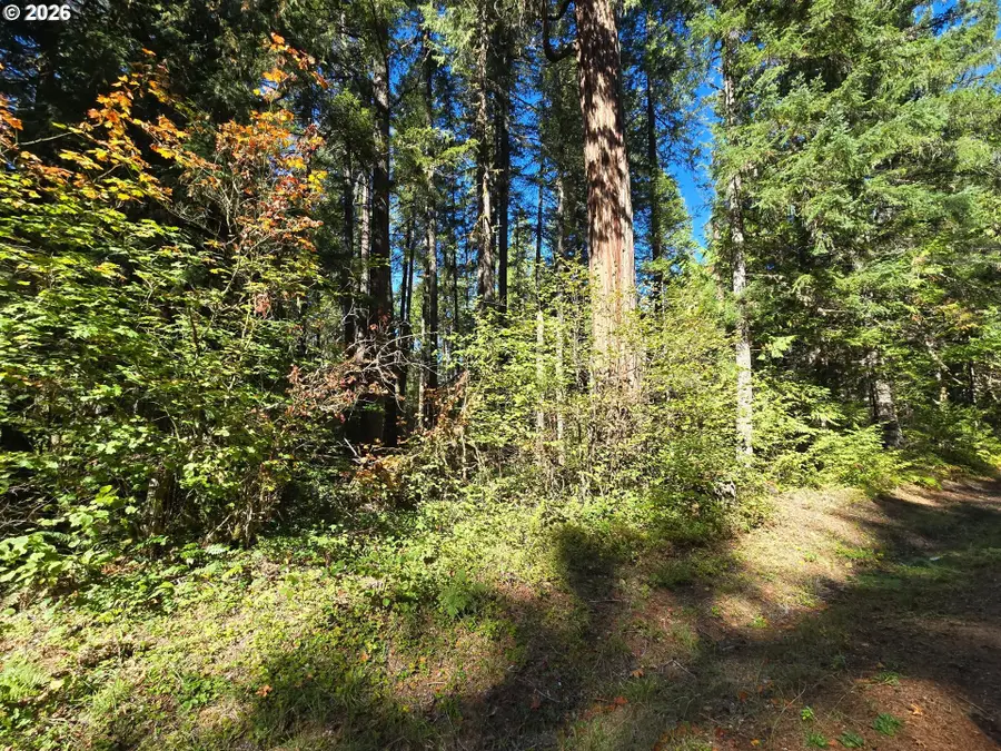1655231000700, McKenzie River, OR 97413 - #3