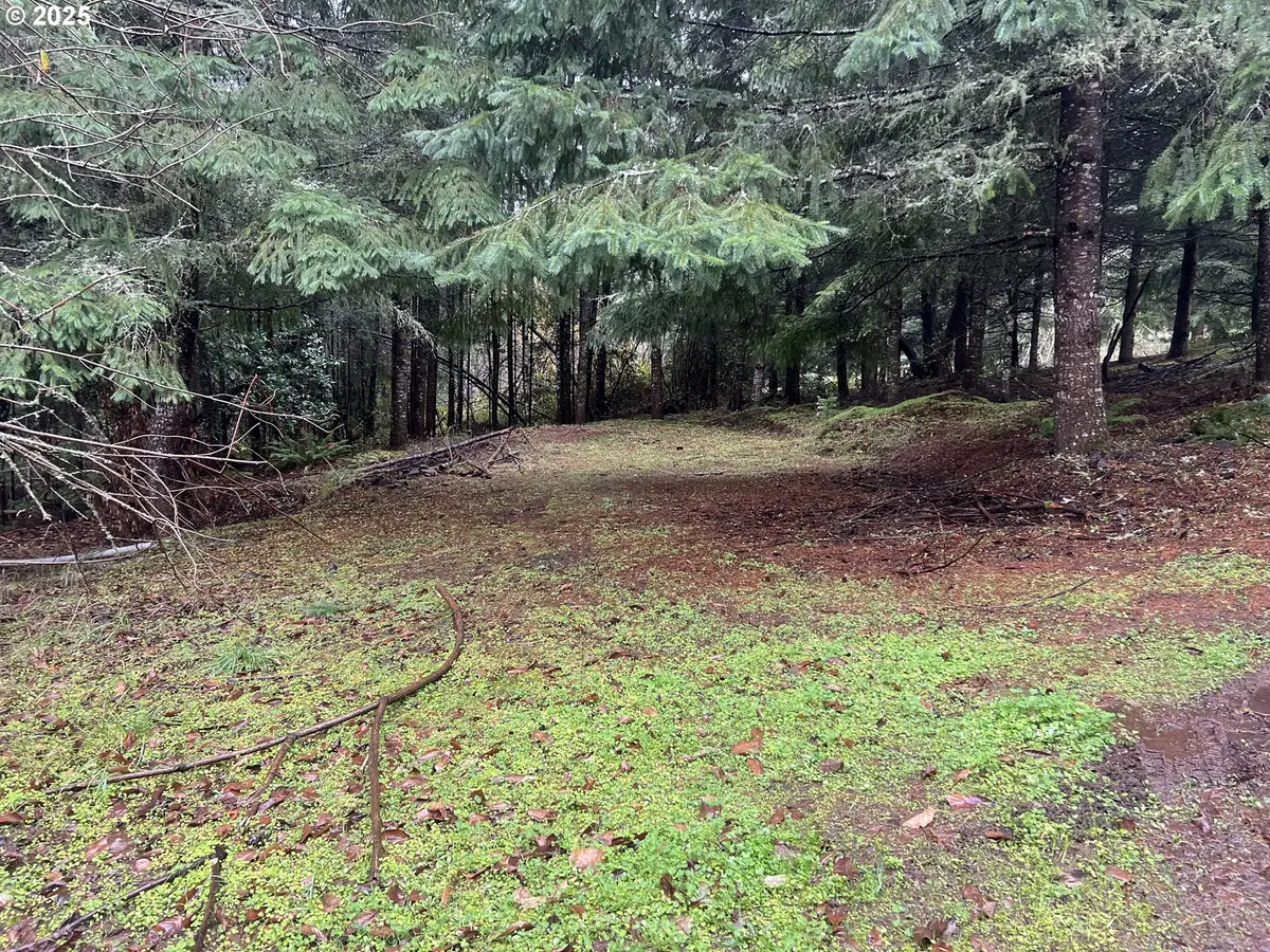 82964 Hungry Hill Rd, Creswell, OR 97426 - Image #1