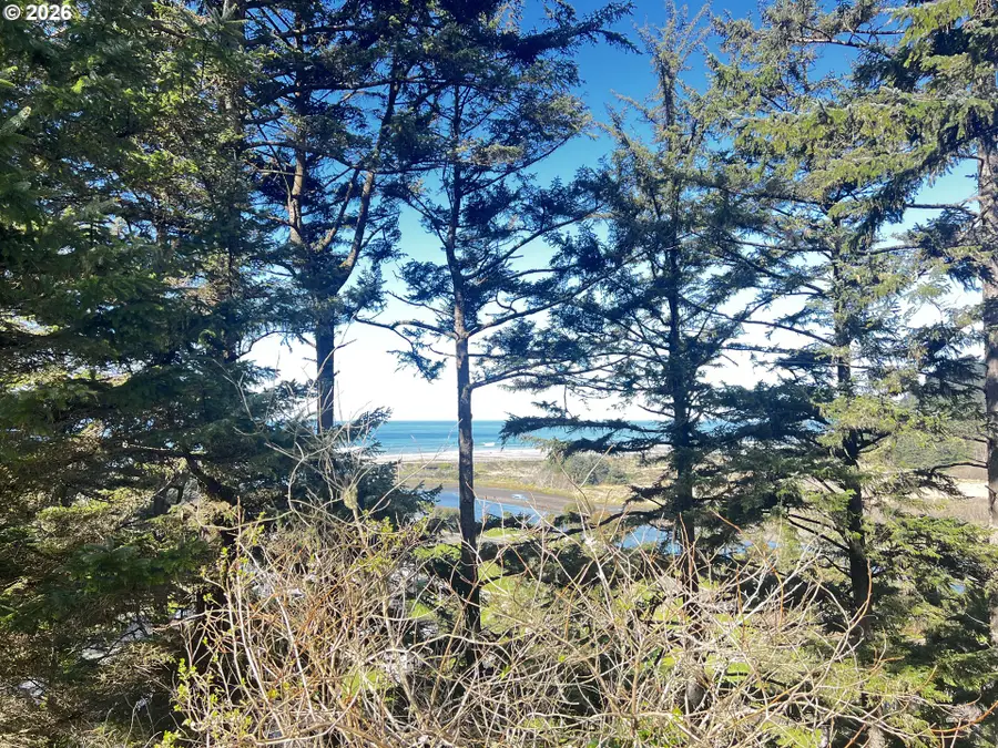 28687 Brooks Rd, Gold Beach, OR 97444 - #2