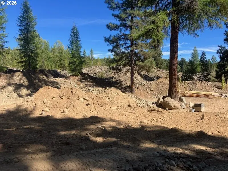 605 Sumpter Valley Hwy, Sumpter, OR 97877 - #2