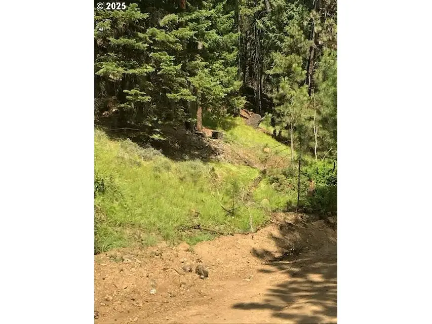 605 Sumpter Valley Hwy, Sumpter, OR 97877 - #3