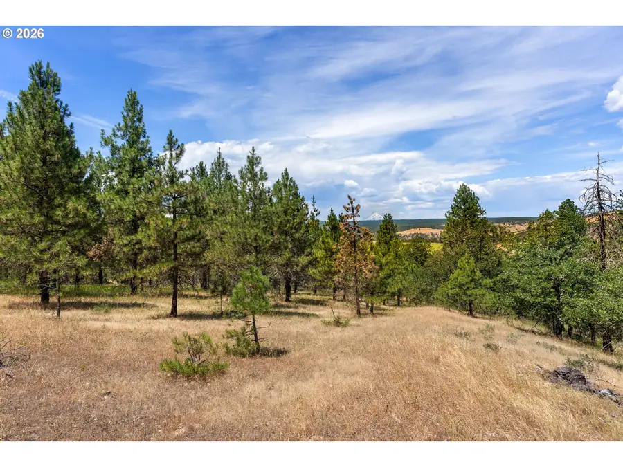 Nka Rowland Rd, Lyle, WA 98635 - #2