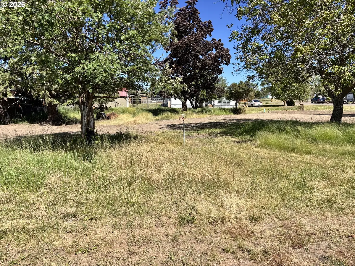 406 S East St, Joseph, OR 97846 - #1