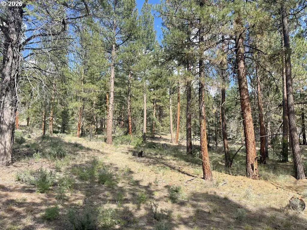 Tableland Rd #500, Chiloquin, OR 97624 - #1