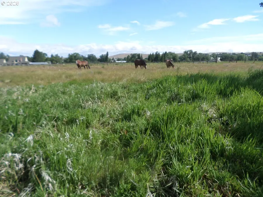 72625 Farmers Ln, Enterprise, OR 97828 - #3
