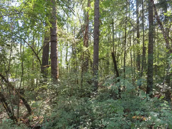 115 Campground Ln, Winlock, WA 98596