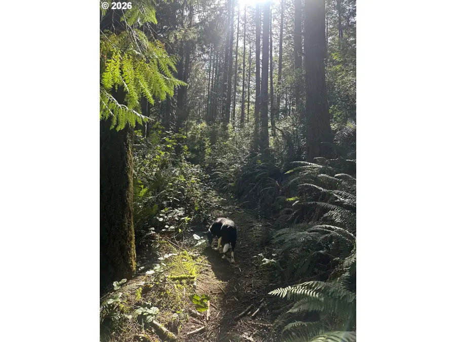 Cedar Terraces, Portorford, OR 97465 - #2