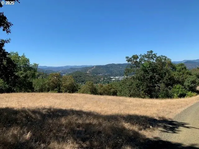#3