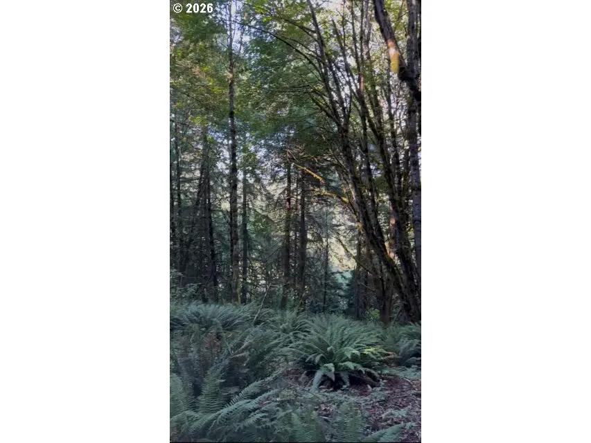 SW Finnigan Hill Rd, Hillsboro, OR 97123 - #2